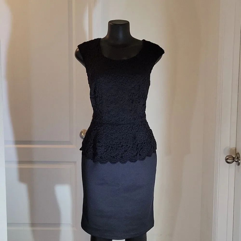 BRAND NEW CONNECTED APPAREL SLEEVELESS LACE TOP DRESS - Picture 4 of 16